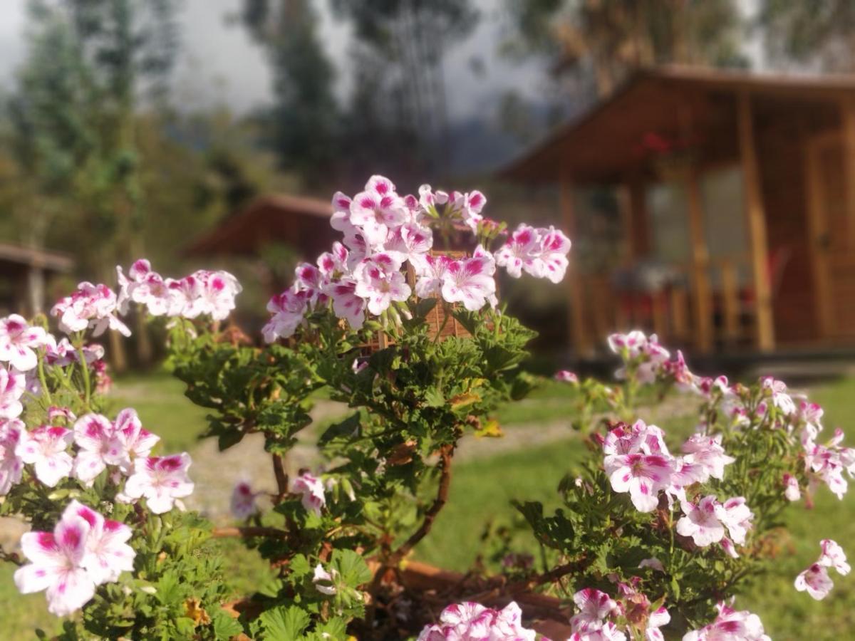 Casa De Leña, Rural